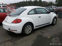 فولكسفاغن بيتل